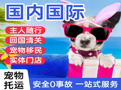 乌鲁木齐地窝堡空运地址国际宠物托运 【国